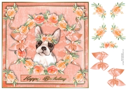 Peach Party Pup 1