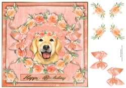 Peach Party Pup 2