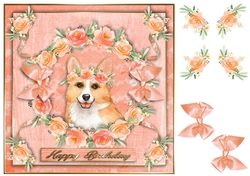 Peach Party Pup 6