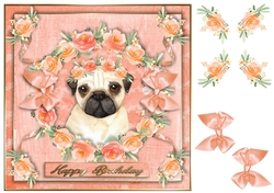 Peach Party Pup 7