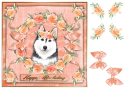 Peach Party Pup 10