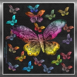 Fantasy Forest Magical Butterflies