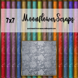 7X7 Floral Gold Trim Backgrounds