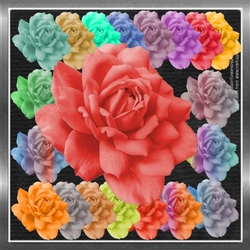 Painted Flowers
