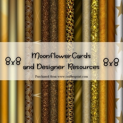 8x8 Gold  Background Kit