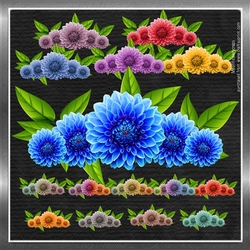 Floral Displays