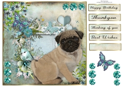 8x8 Teal Garden Pup Pug