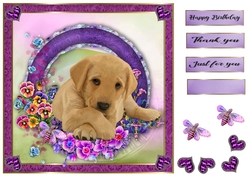 8x8 Pansie Garden Pup Labrador
