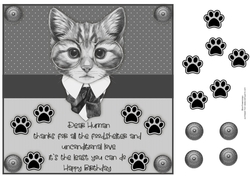 8x8 Birthday Card From the cat 2