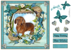 Spring Garden Dachshund