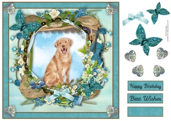 Spring Garden Labrador