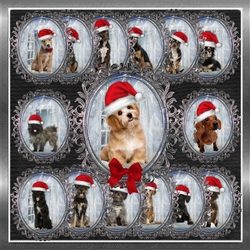 Santa Dog Toppers