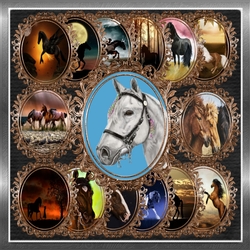 Horse Toppers