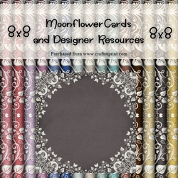 8x8 Lacey Circle Backgrounds