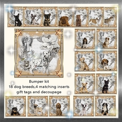 Bumper 7x7 Christmas Wishes puppy kit