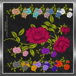 Pretty Flowers