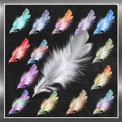 Angel Feathers