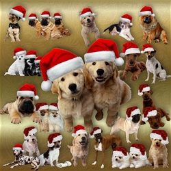 Designer Resource Santa Dogs