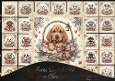 Sugar & Spice & Christmas magic pups 1