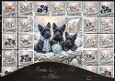 Whispers of winter wonderland pups 3