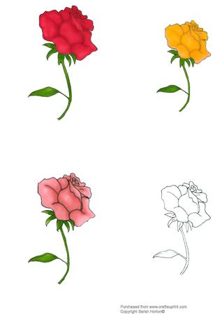 Roses