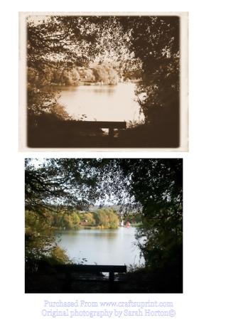 Lake Through the Trees