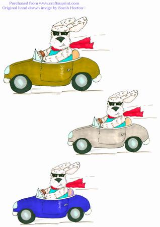 Brum Brum