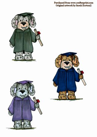 Graduation Dog