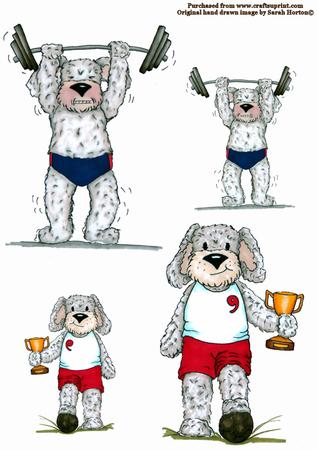 Sporty Dog