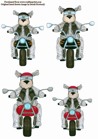 Barkley Biker