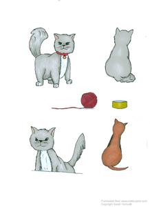 Puddy Cat