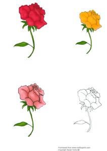 Roses