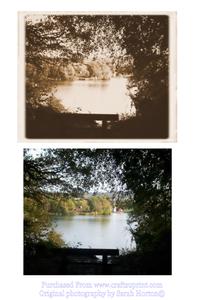 Lake Through the Trees