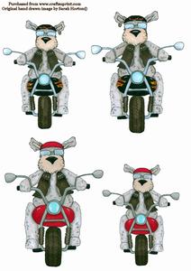 Barkley Biker
