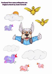 Barkley Skydive