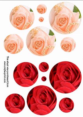 Rose Pink and Red