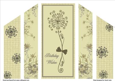 Ornate Dandelion