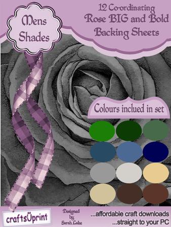Rose Big and Bold Mens Colours