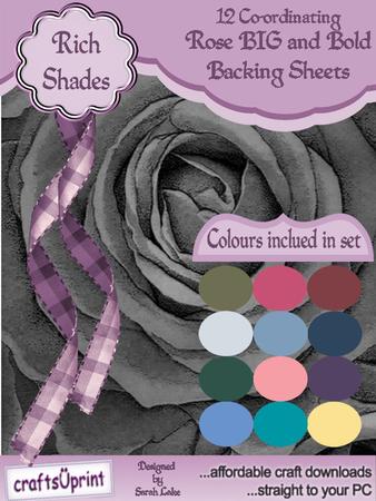 Rose Big and Bold Rich Shades