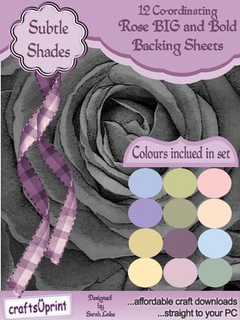 Rose Big and Bold Subtle Shades
