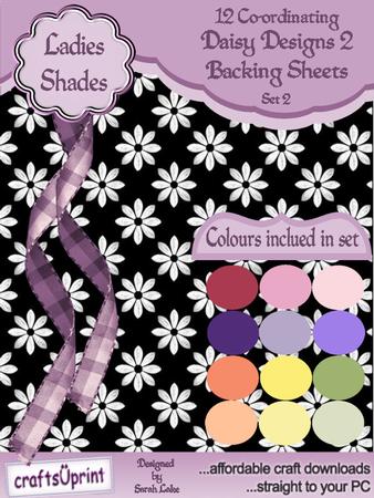Daisy Set 1 Ladies Shades