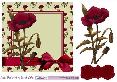 Poppy