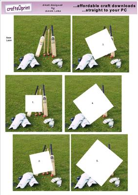 Cricket Anyone
