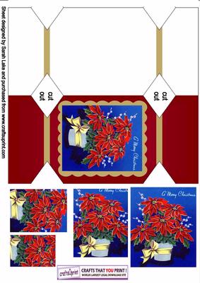 A Merry Christmas Cracker Card