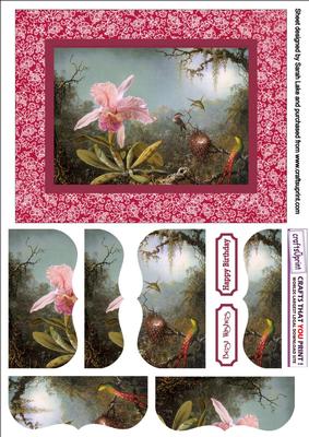 Humming Bird and Orchid