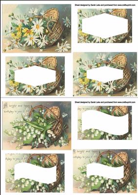 Basket of Flowers 2 Duo Sheet