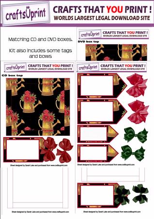 Poinsettia in Watering Can Dvd and Cd Gift Boxes