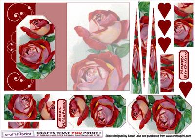 Red Rose Foldback
