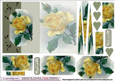 Yellow Rose Foldback