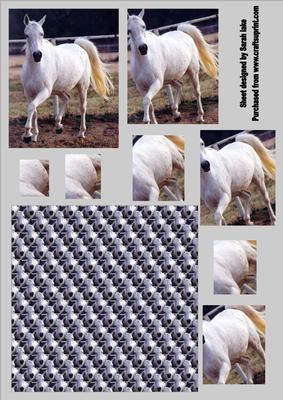 White Horse
